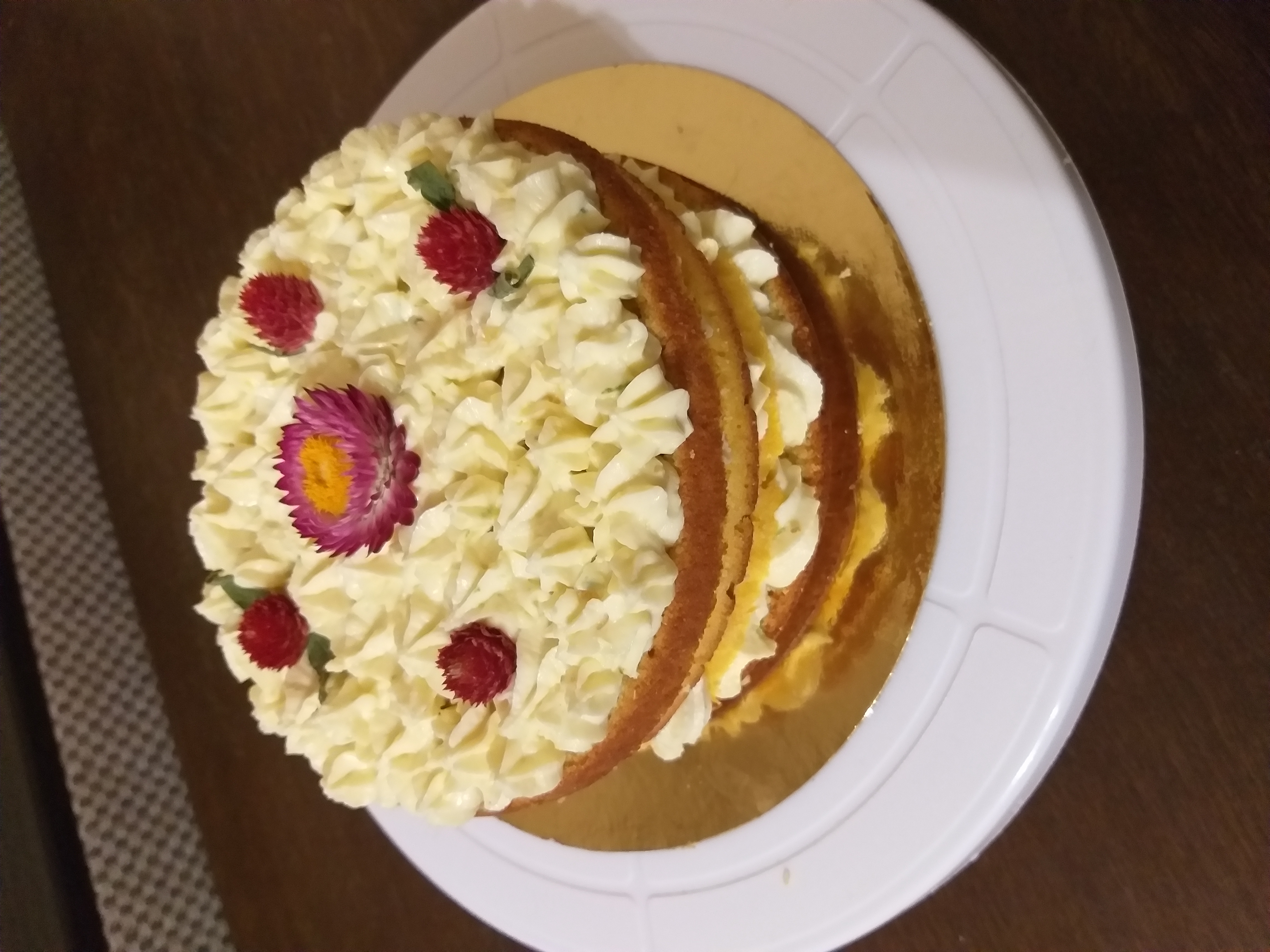 Анохина Анна 