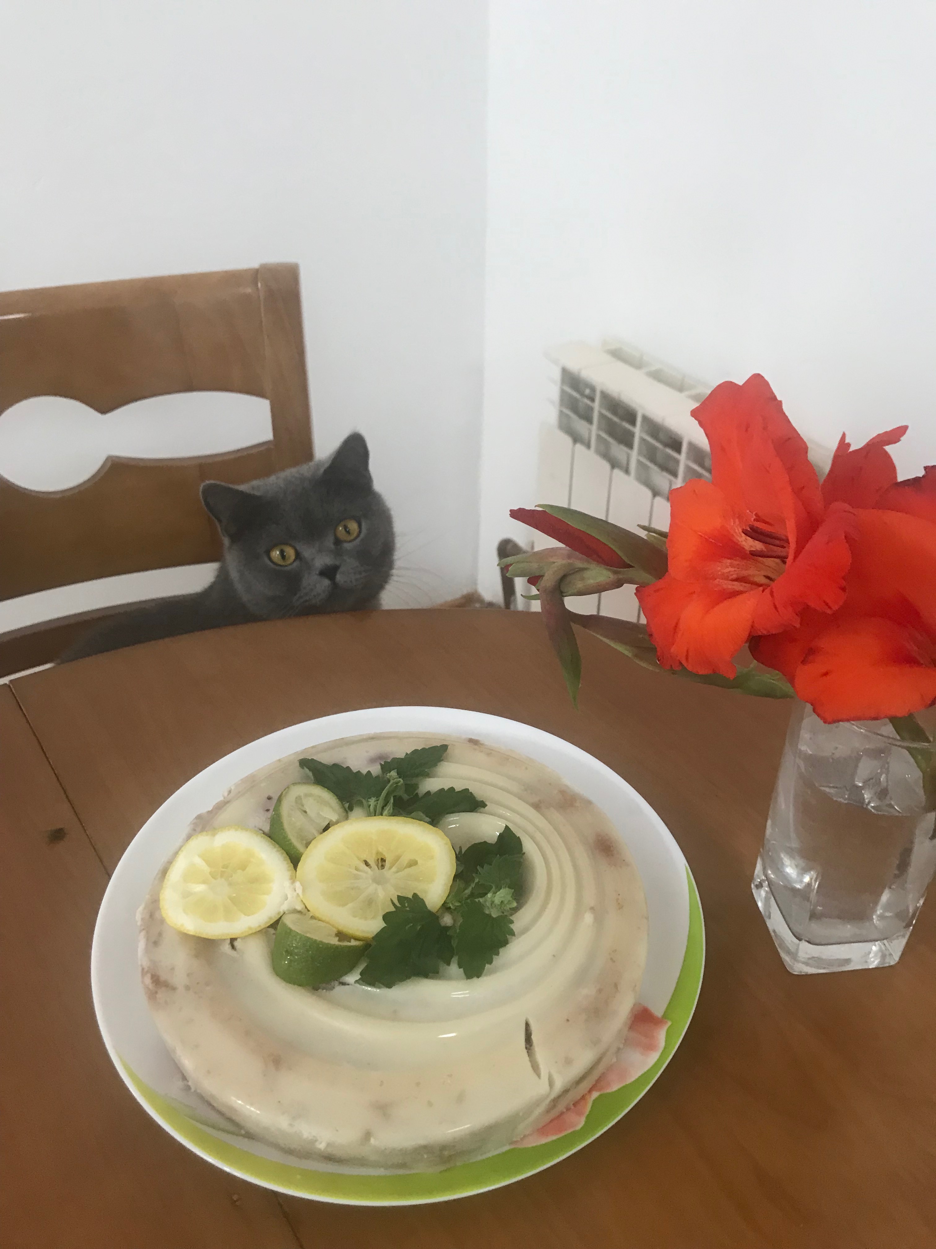 Шевченко Любовь Дмитриевна